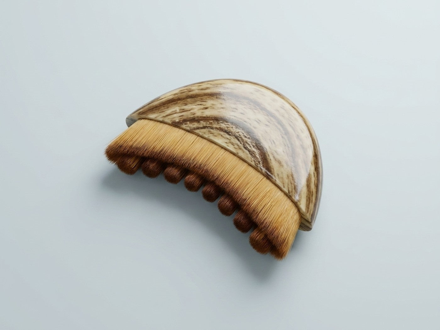 La brosse à plat vue du dessus, forme et picots visibles